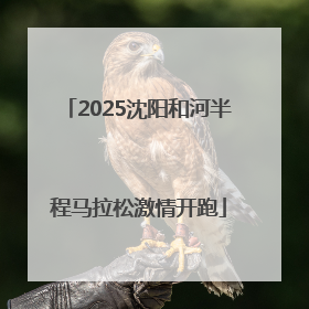 2025沈阳和河半程马拉松激情开跑