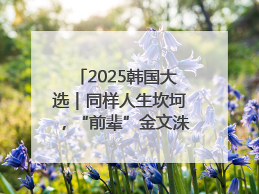 2025韩国大选｜同样人生坎坷，“前辈”金文洙能否打败李在明“逆风翻盘”？