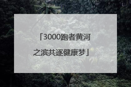 3000跑者黄河之滨共逐健康梦