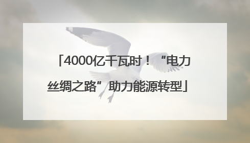 4000亿千瓦时！“电力丝绸之路”助力能源转型