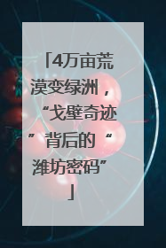 4万亩荒漠变绿洲，“戈壁奇迹”背后的“潍坊密码”
