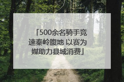 500余名骑手竞速秦岭腹地 以赛为媒助力县域消费