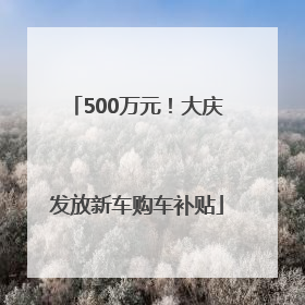 500万元！大庆发放新车购车补贴