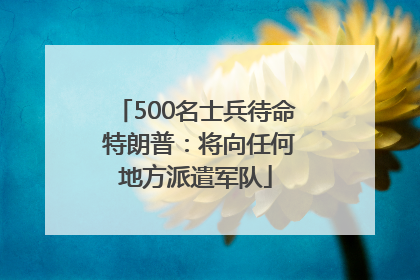 500名士兵待命 特朗普：将向任何地方派遣军队