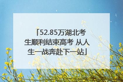 52.85万湖北考生顺利结束高考 从人生一战奔赴下一站