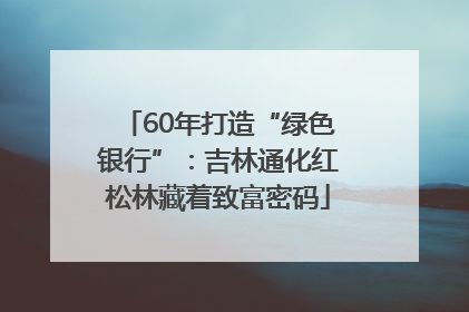 60年打造“绿色银行”：吉林通化红松林藏着致富密码