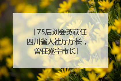 75后刘会英获任四川省人社厅厅长，曾任遂宁市长