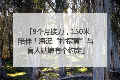 9个月接力，150米陪伴！海淀“柠檬黄”与盲人姑娘有个约定