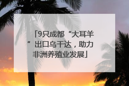 9只成都“大耳羊”出口乌干达，助力非洲养殖业发展