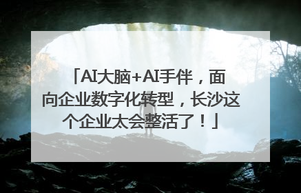 AI大脑+AI手伴，面向企业数字化转型，长沙这个企业太会整活了！
