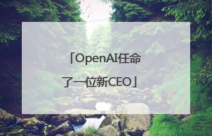 OpenAI任命了一位新CEO