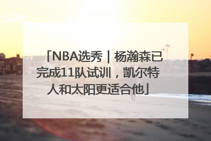 NBA选秀｜杨瀚森已完成11队试训，凯尔特人和太阳更适合他