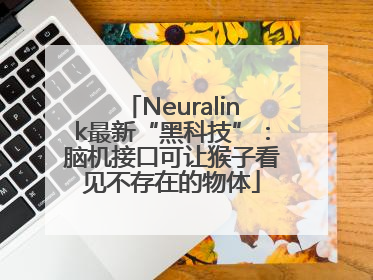 Neuralink最新“黑科技”：脑机接口可让猴子看见不存在的物体