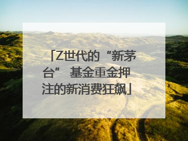 Z世代的“新茅台” 基金重金押注的新消费狂飙